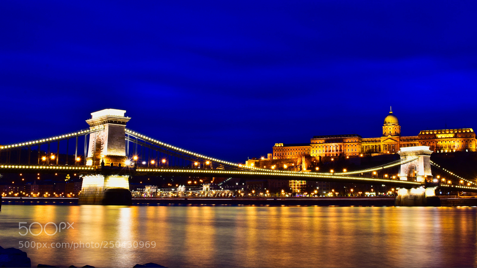 Nikon D5600 sample photo. Budapest chain bridge photography