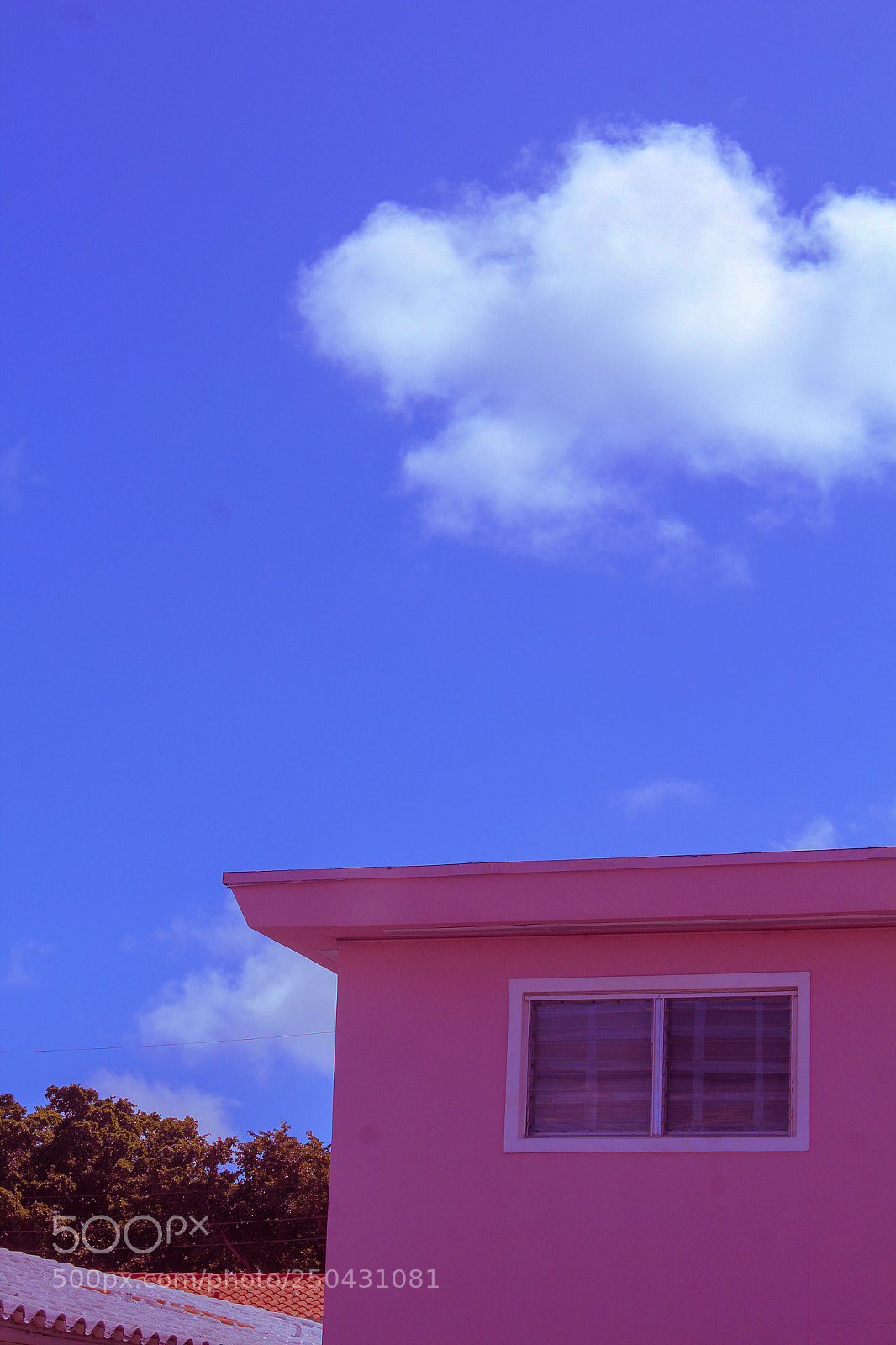 Canon EOS 1200D (EOS Rebel T5 / EOS Kiss X70 / EOS Hi) sample photo. Pink corners photography