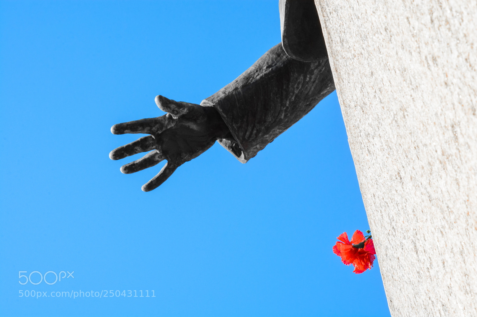 Nikon D7100 sample photo. The hand of a photography