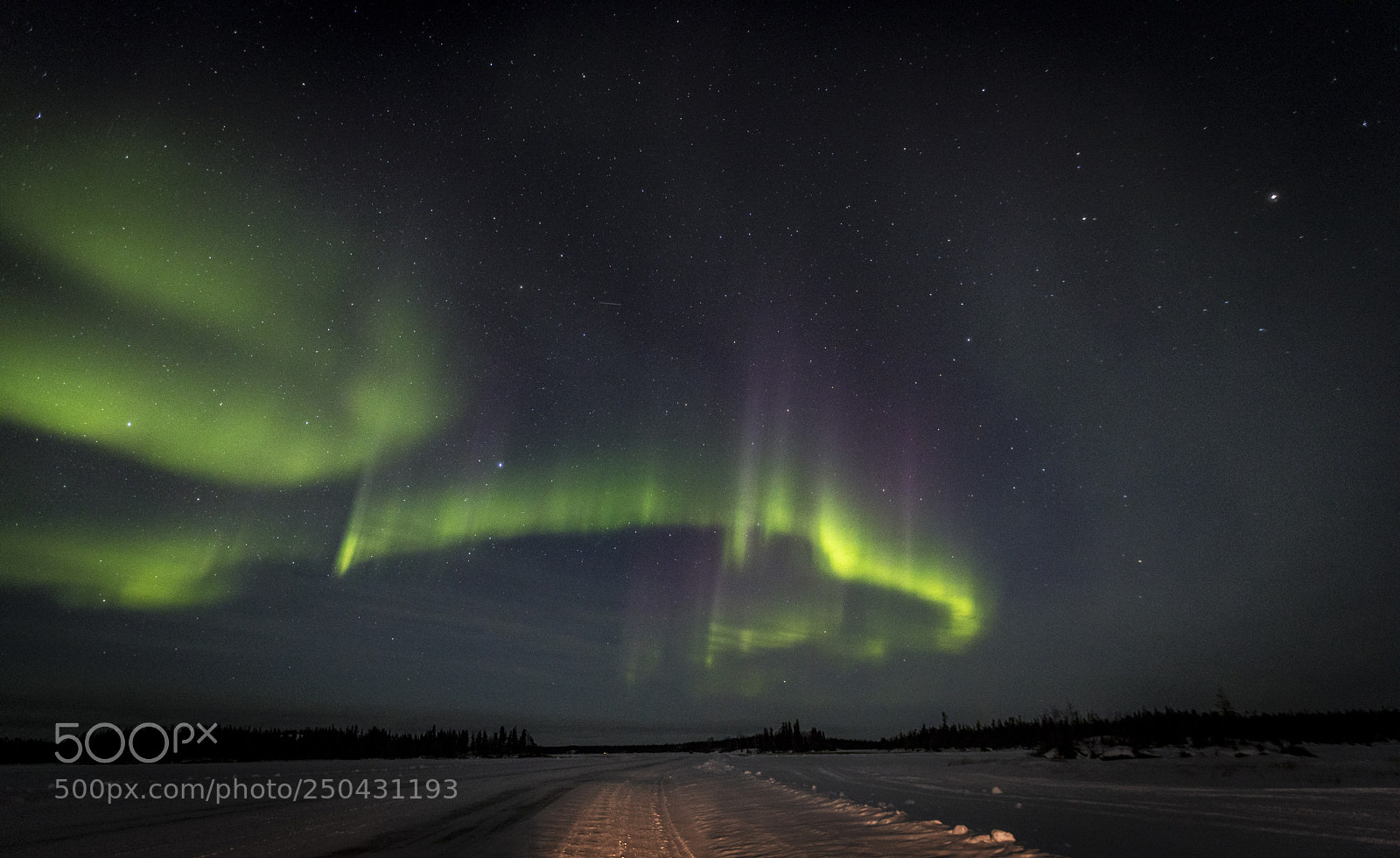Canon EOS 5D Mark IV sample photo. Northern lights march 23rd photography