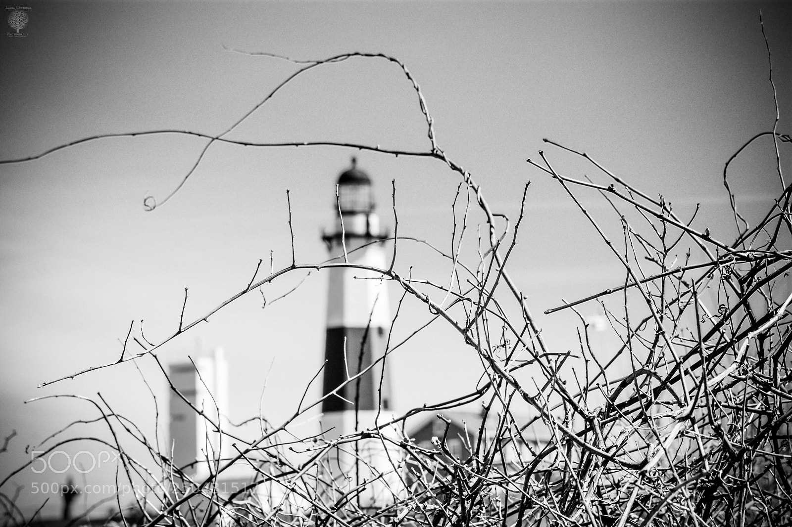 Nikon D7100 sample photo. Take me to montauk photography