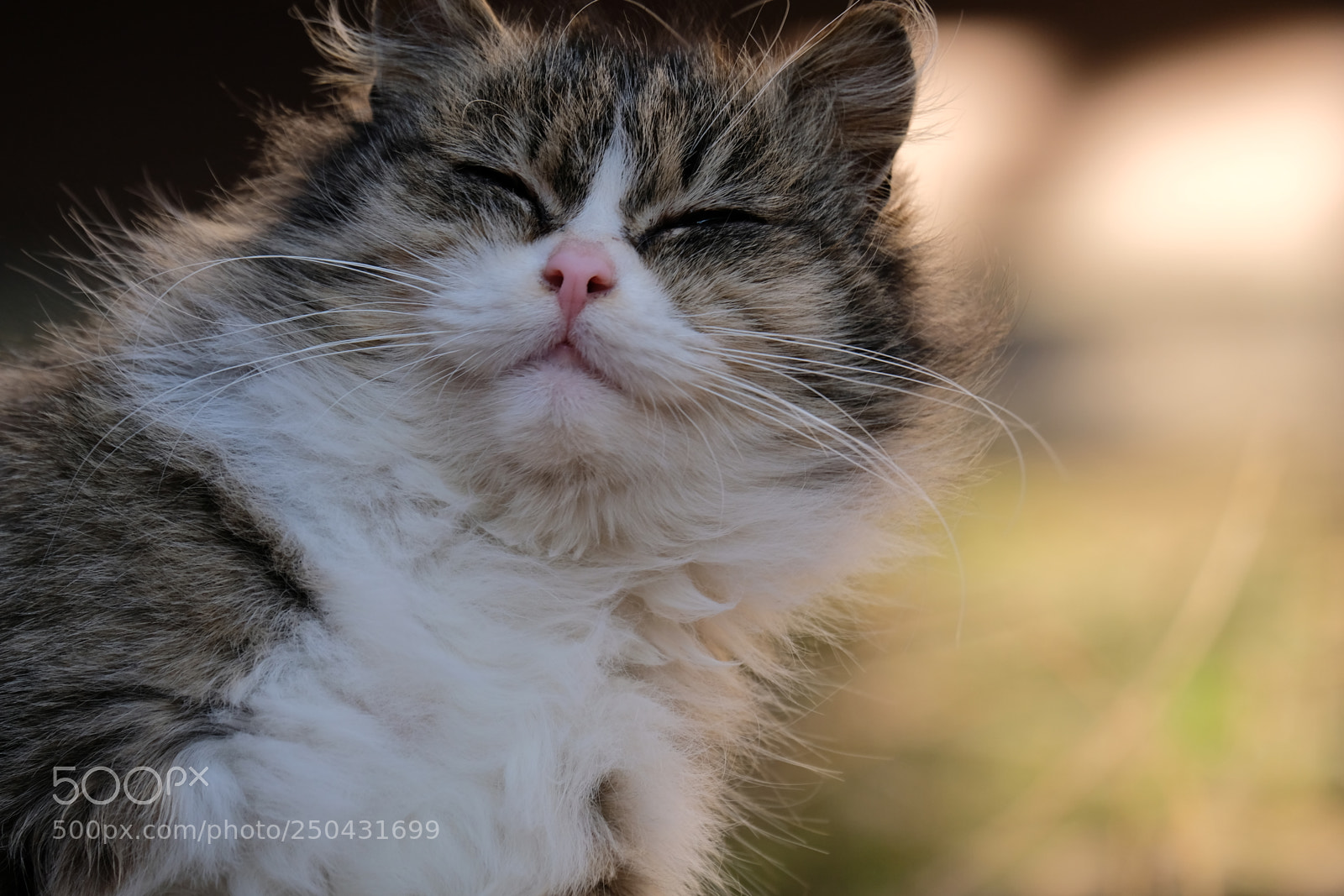 Fujifilm X-T20 sample photo. Spring wind photography