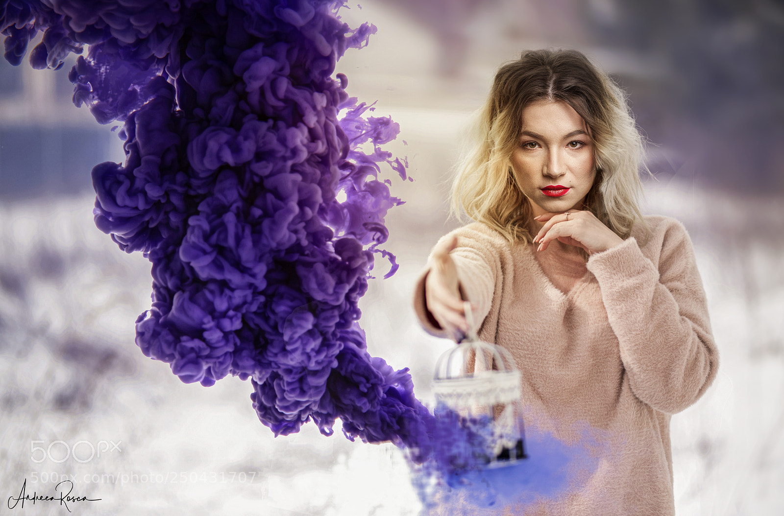 Nikon D810 sample photo. Winter's tale photography