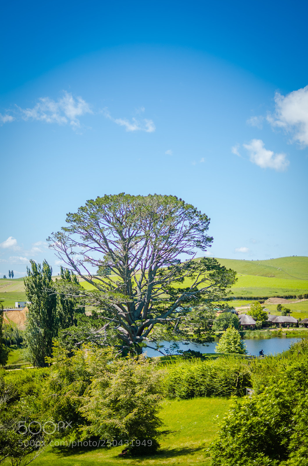 Nikon D7000 sample photo. The shire photography
