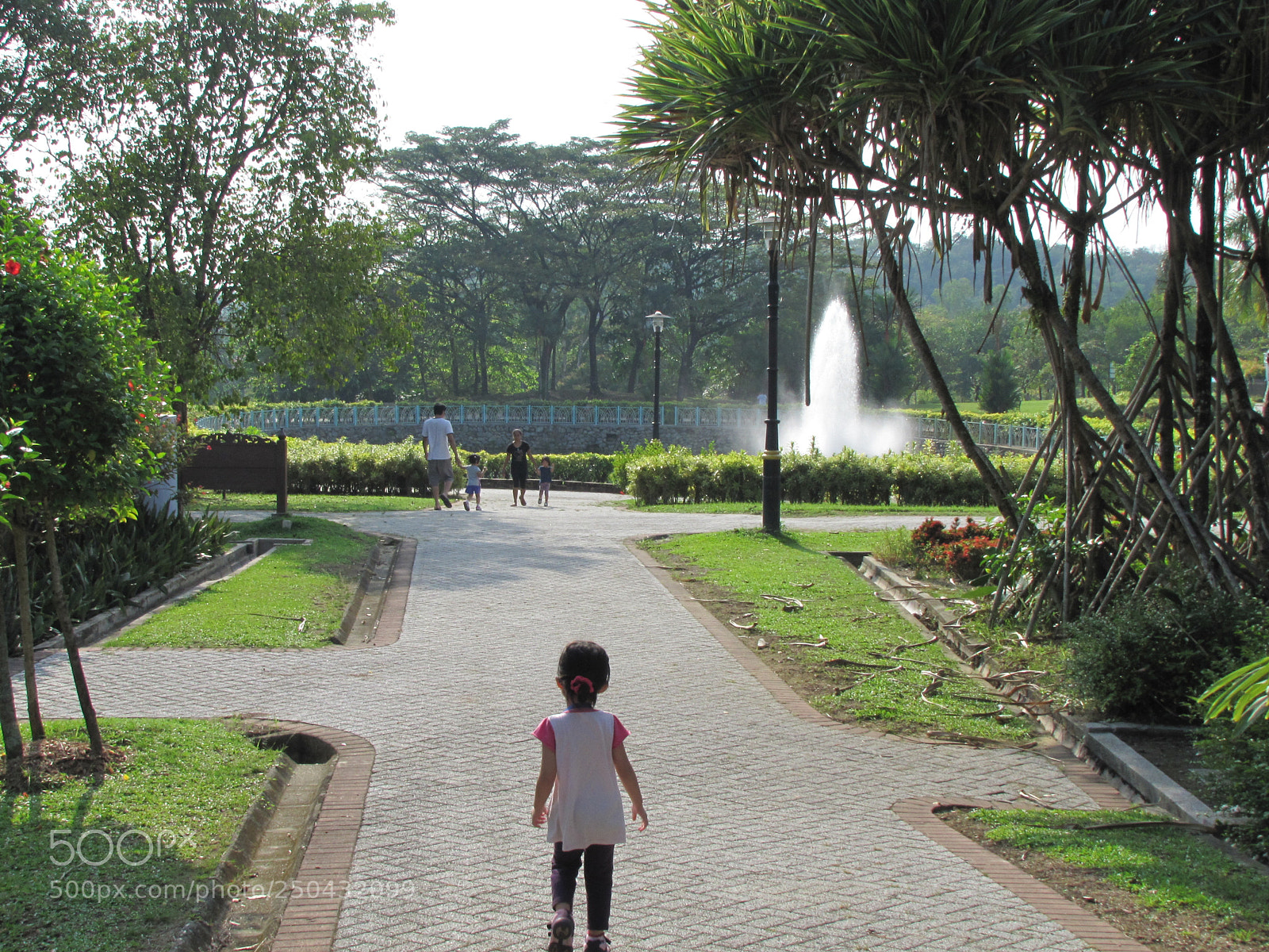 Canon PowerShot SX20 IS sample photo. Alone in park photography