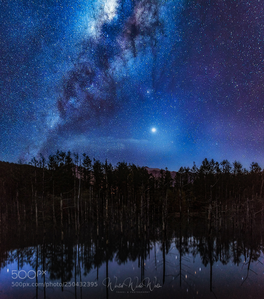Nikon D810 sample photo. My blue pond photography