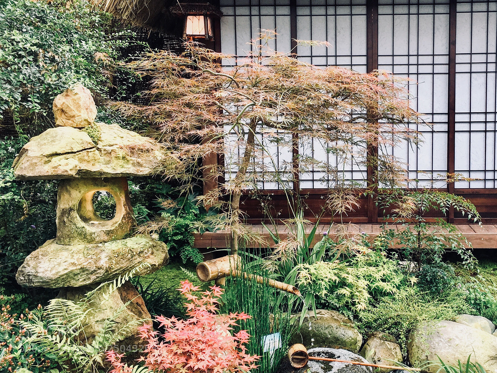 Apple iPhone 6s Plus sample photo. Japanese garden photography