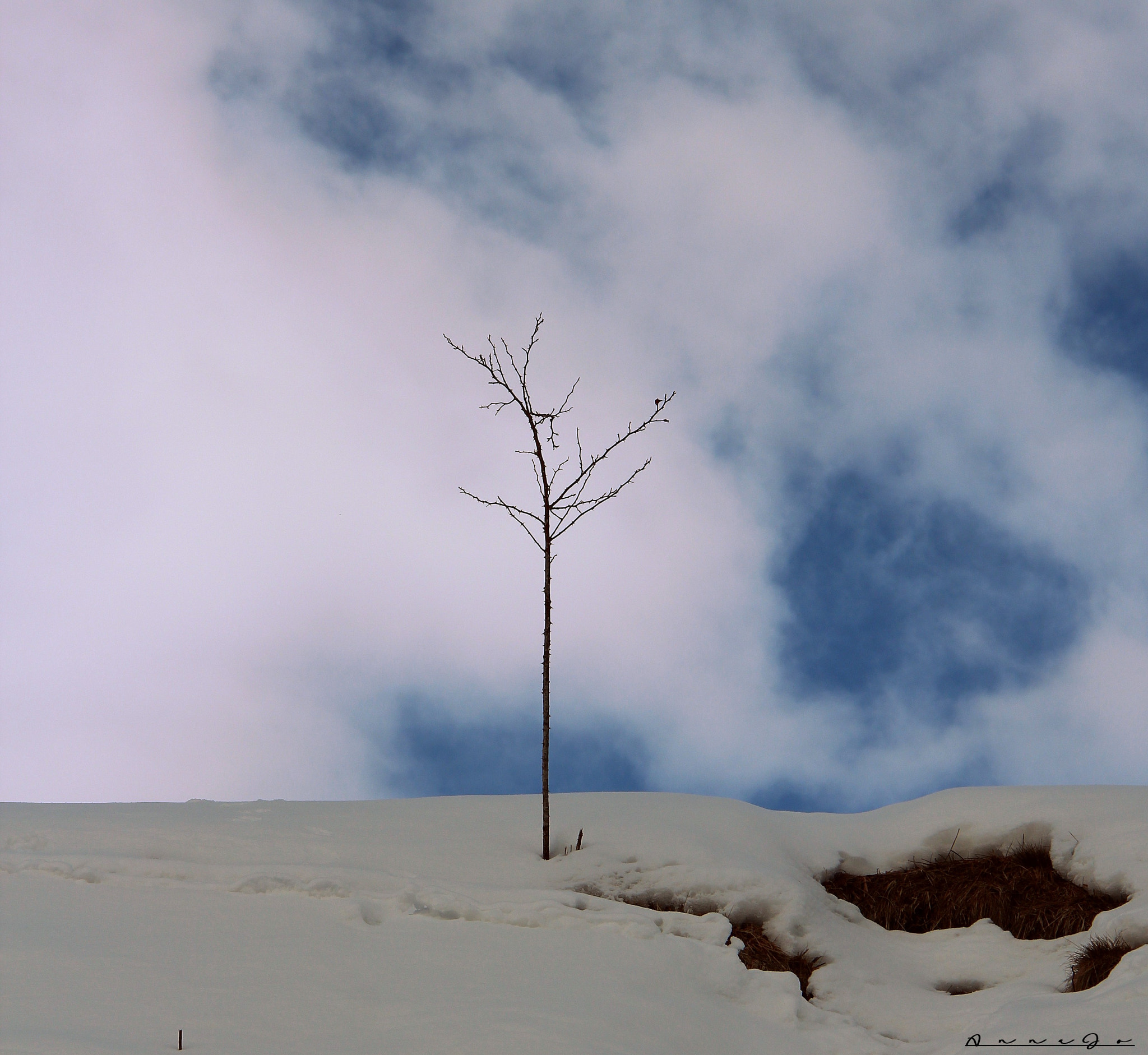 Canon EF-S 18-200mm F3.5-5.6 IS sample photo. Solitude photography