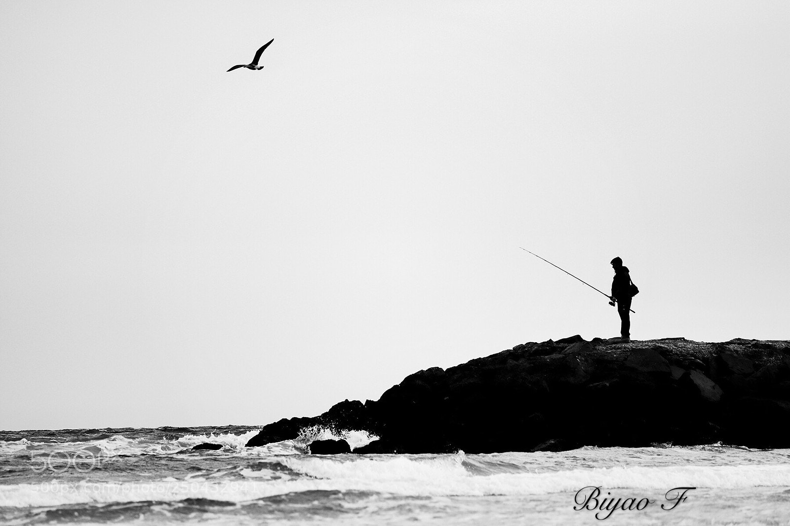 Canon EOS 80D sample photo. Untitled photography