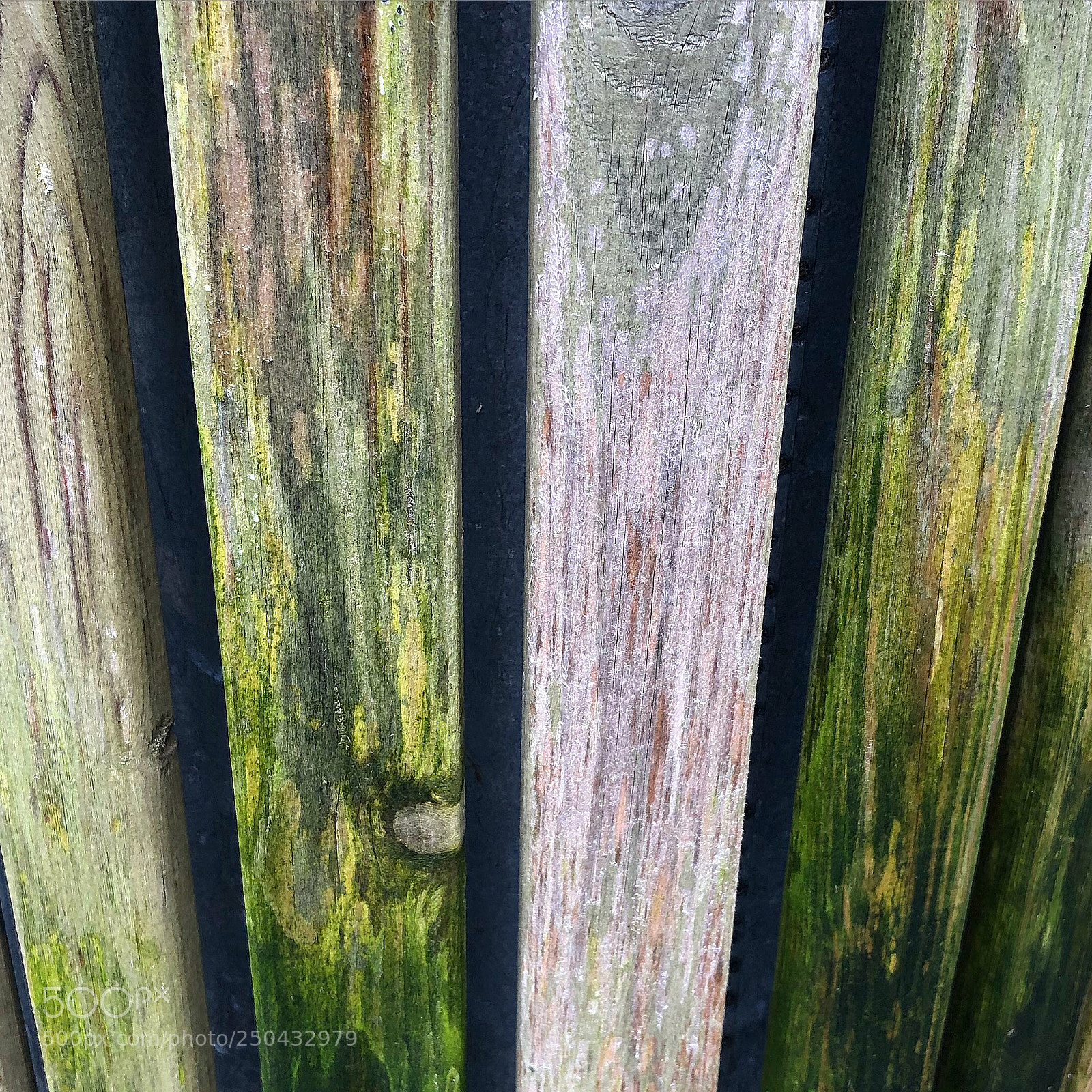 Apple iPhone 8 Plus sample photo. Woodfence photography