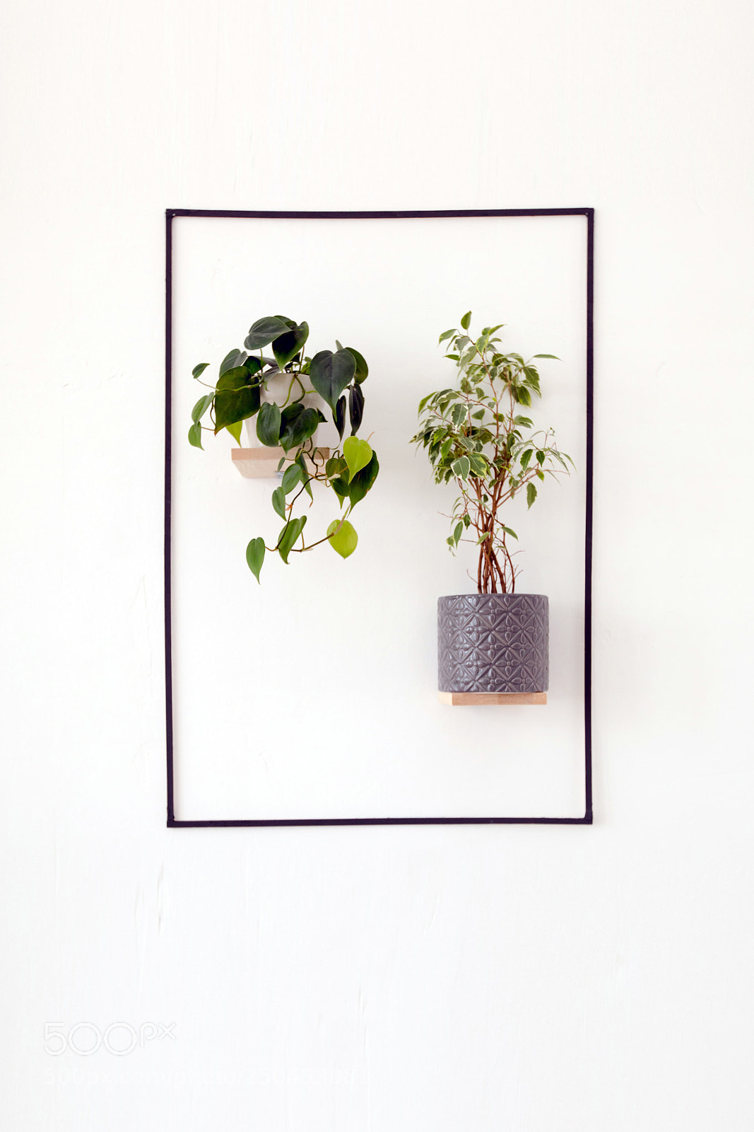 Canon EOS 5D Mark IV sample photo. White wall with hanging photography