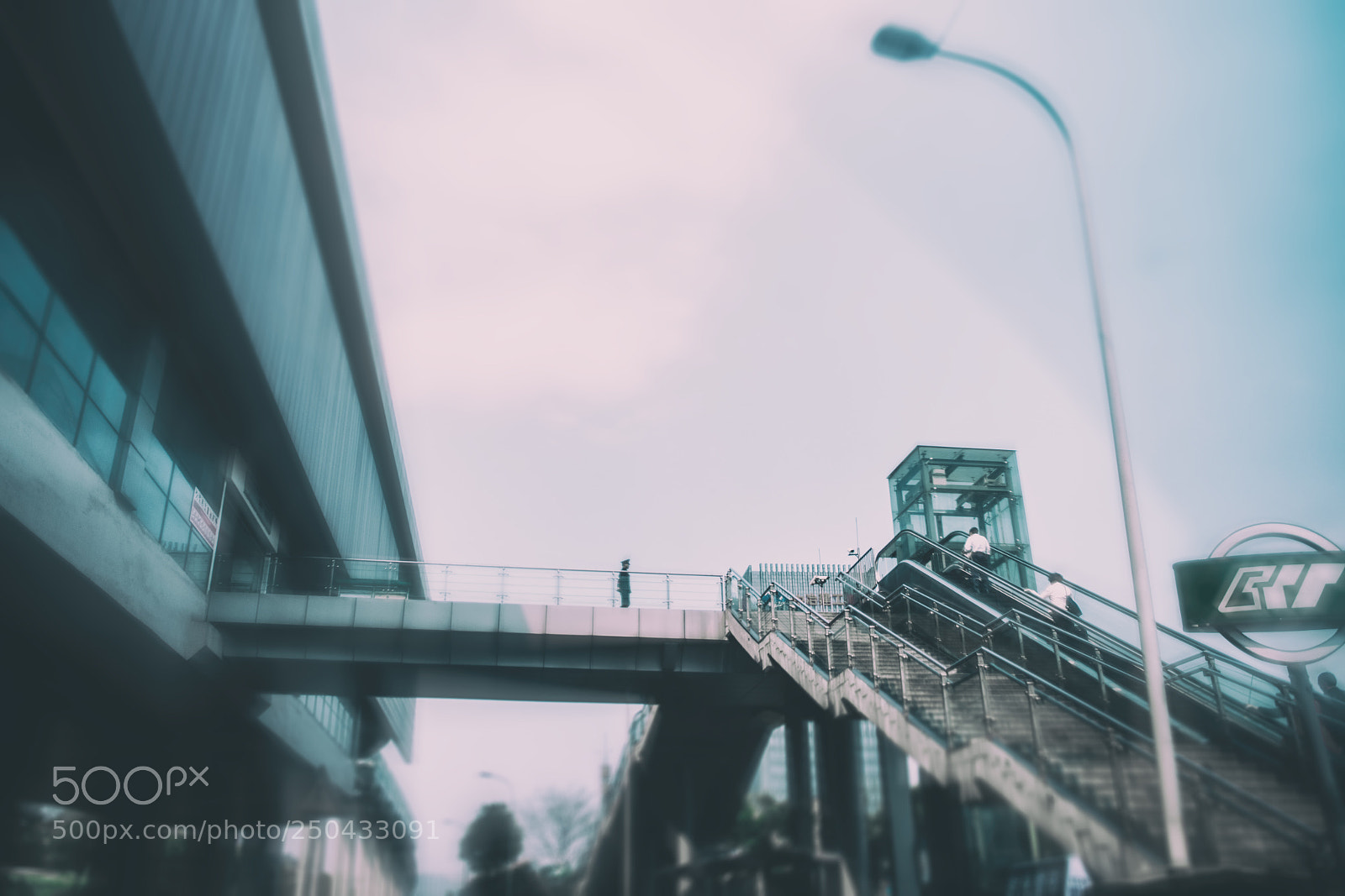 Pentax K-1 sample photo. Street 1168 # photography