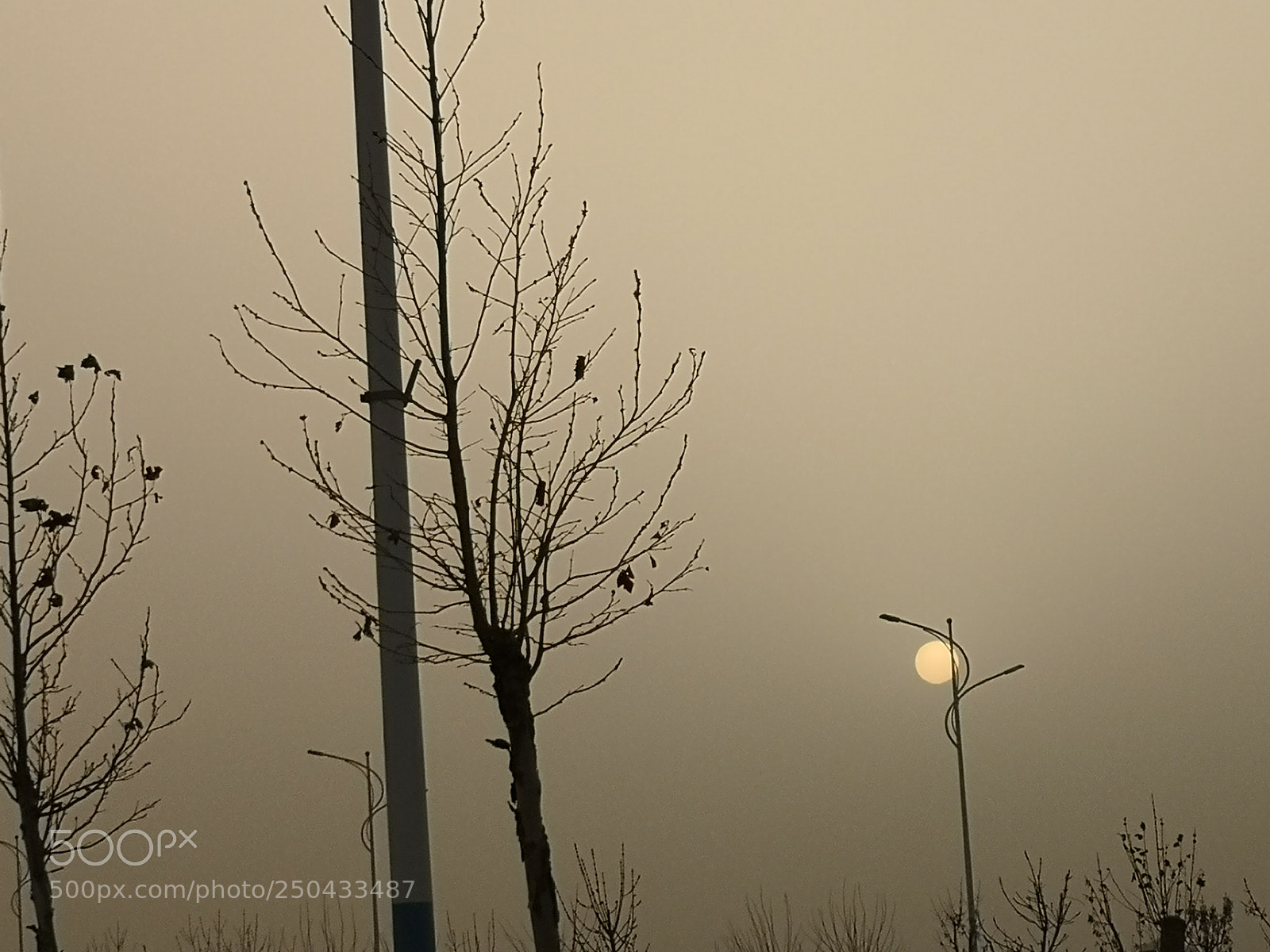 HUAWEI Mate 10 sample photo. Untitled photography