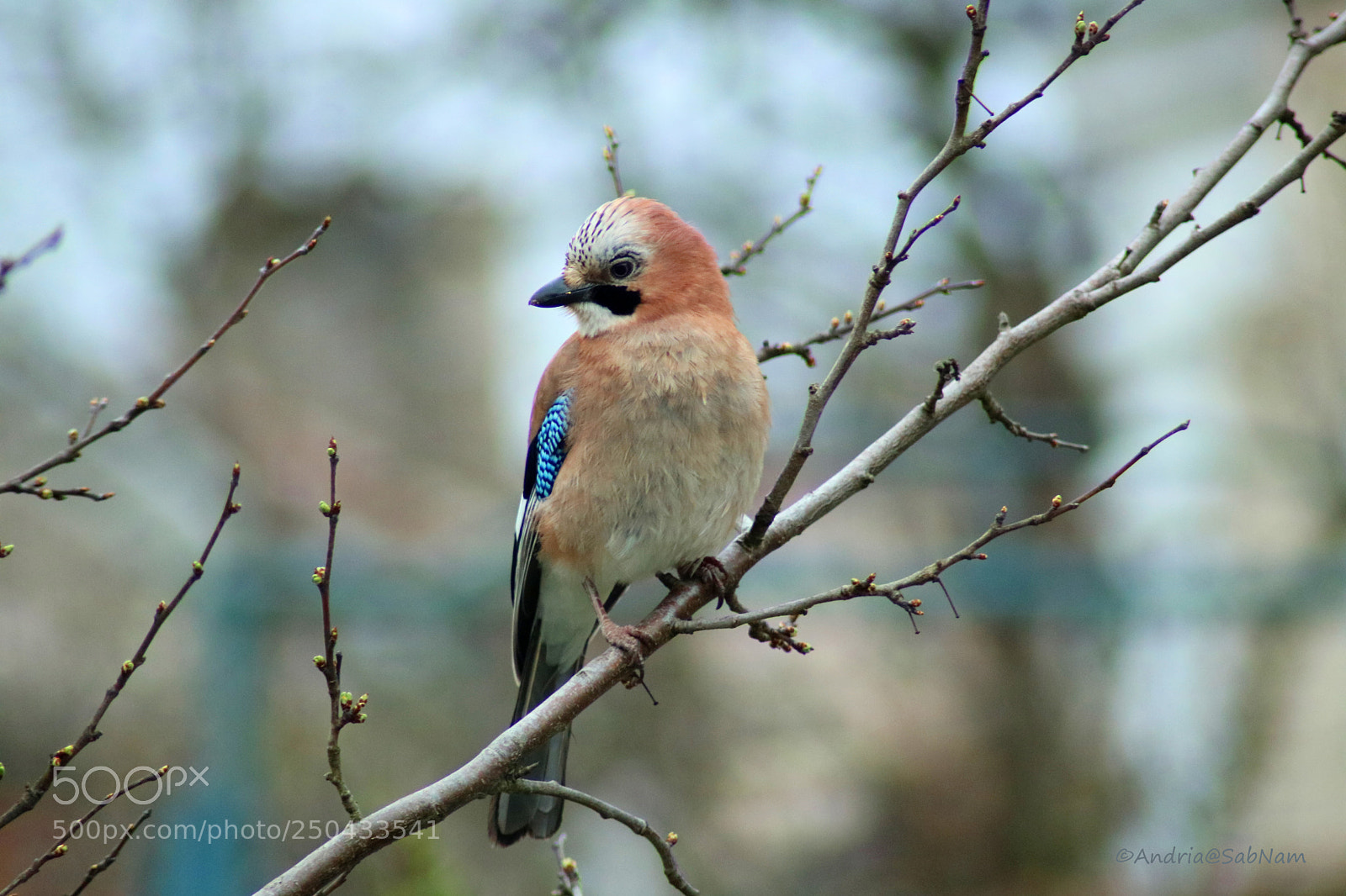 Canon EOS 750D (EOS Rebel T6i / EOS Kiss X8i) sample photo. It's friday photography
