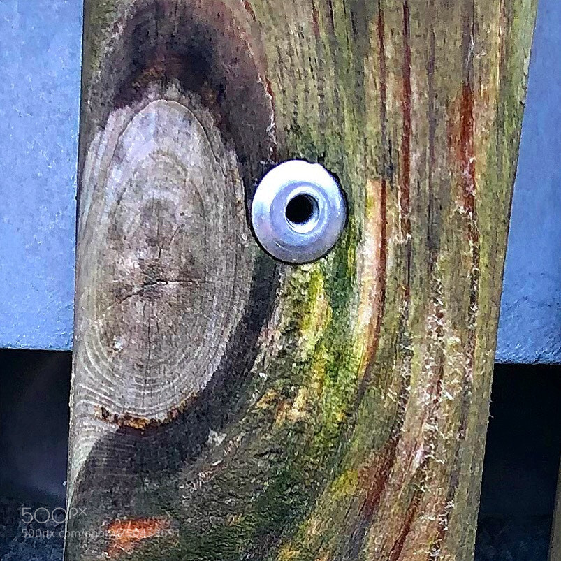 Apple iPhone 8 Plus sample photo. Coloursofwood photography