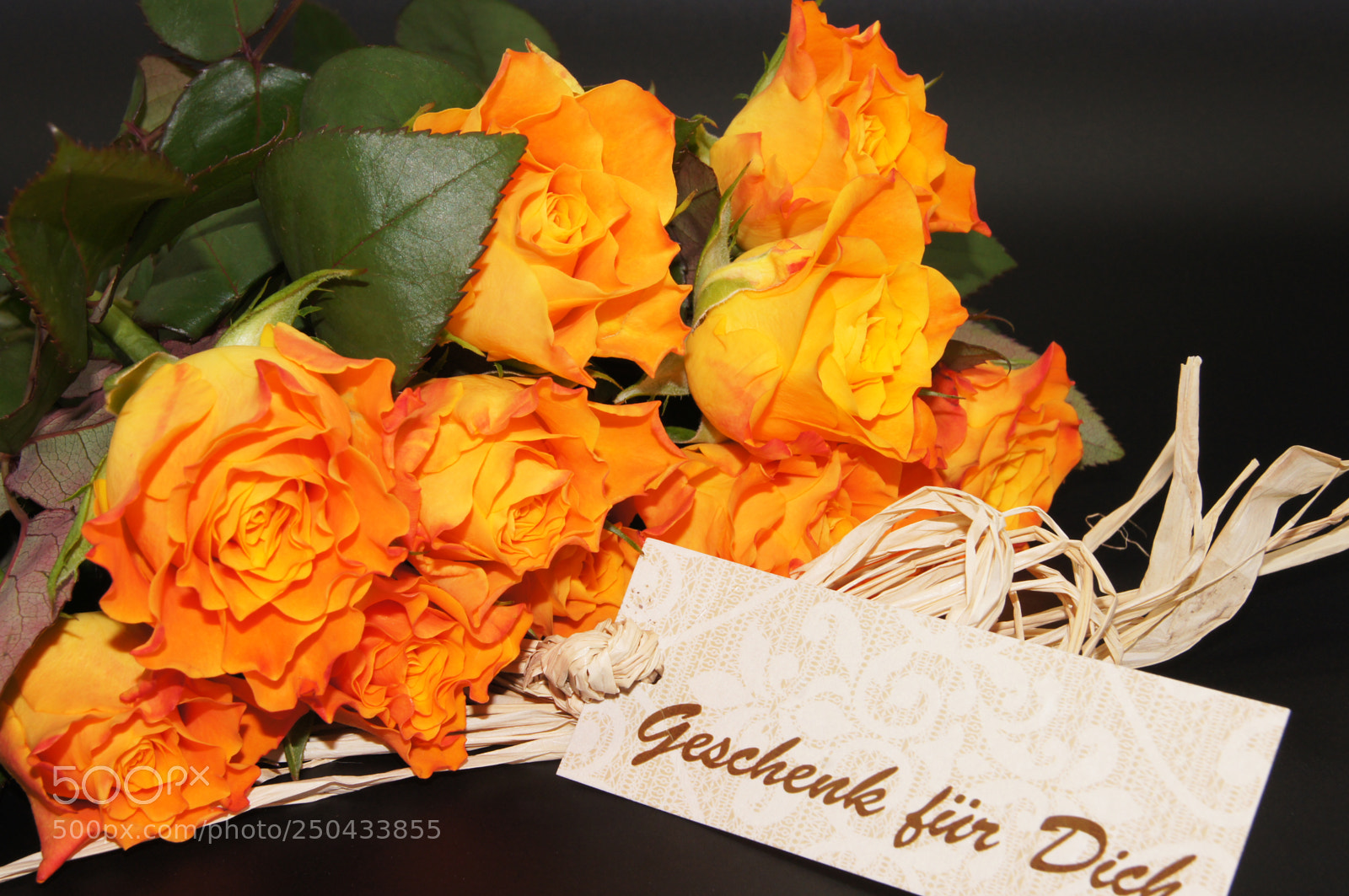 Sony SLT-A55 (SLT-A55V) sample photo. Salmon-colored roses released on photography