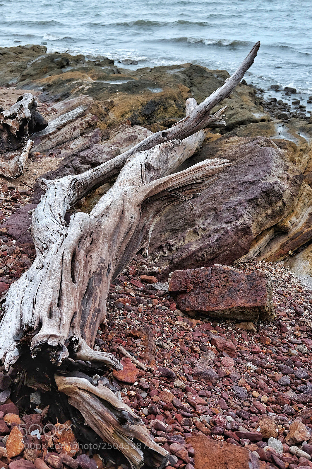 Fujifilm X-T1 sample photo. Untitled photography