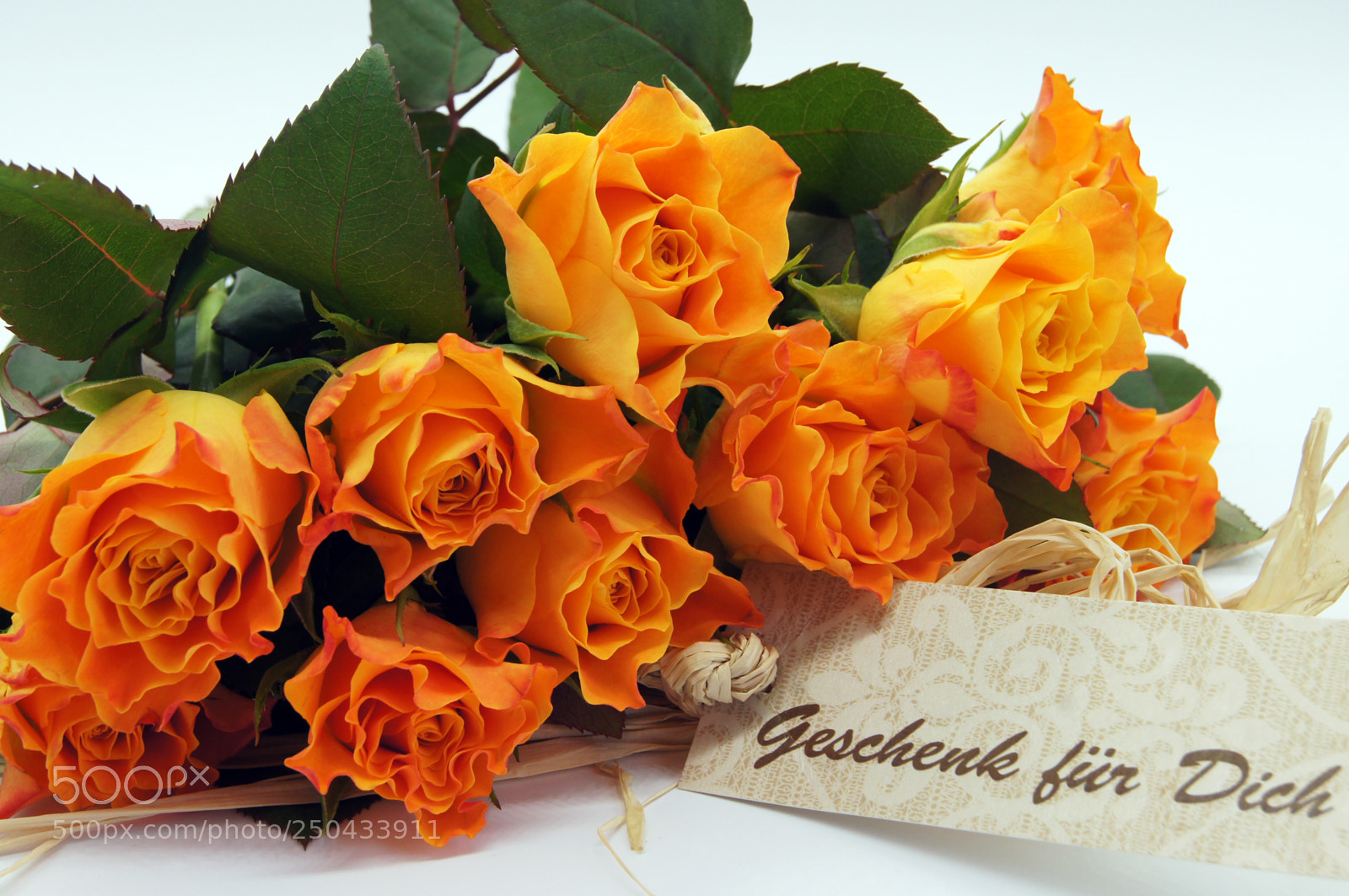 Sony SLT-A55 (SLT-A55V) sample photo. Salmon-colored roses released on photography