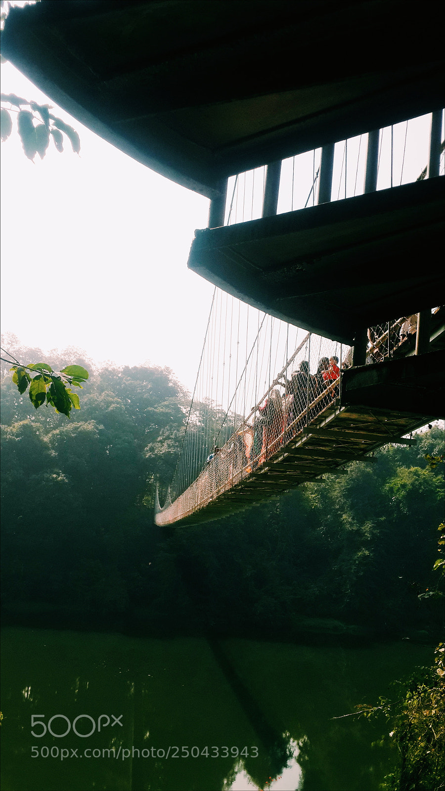 Samsung Galaxy S4 sample photo. Hanging bridge photography