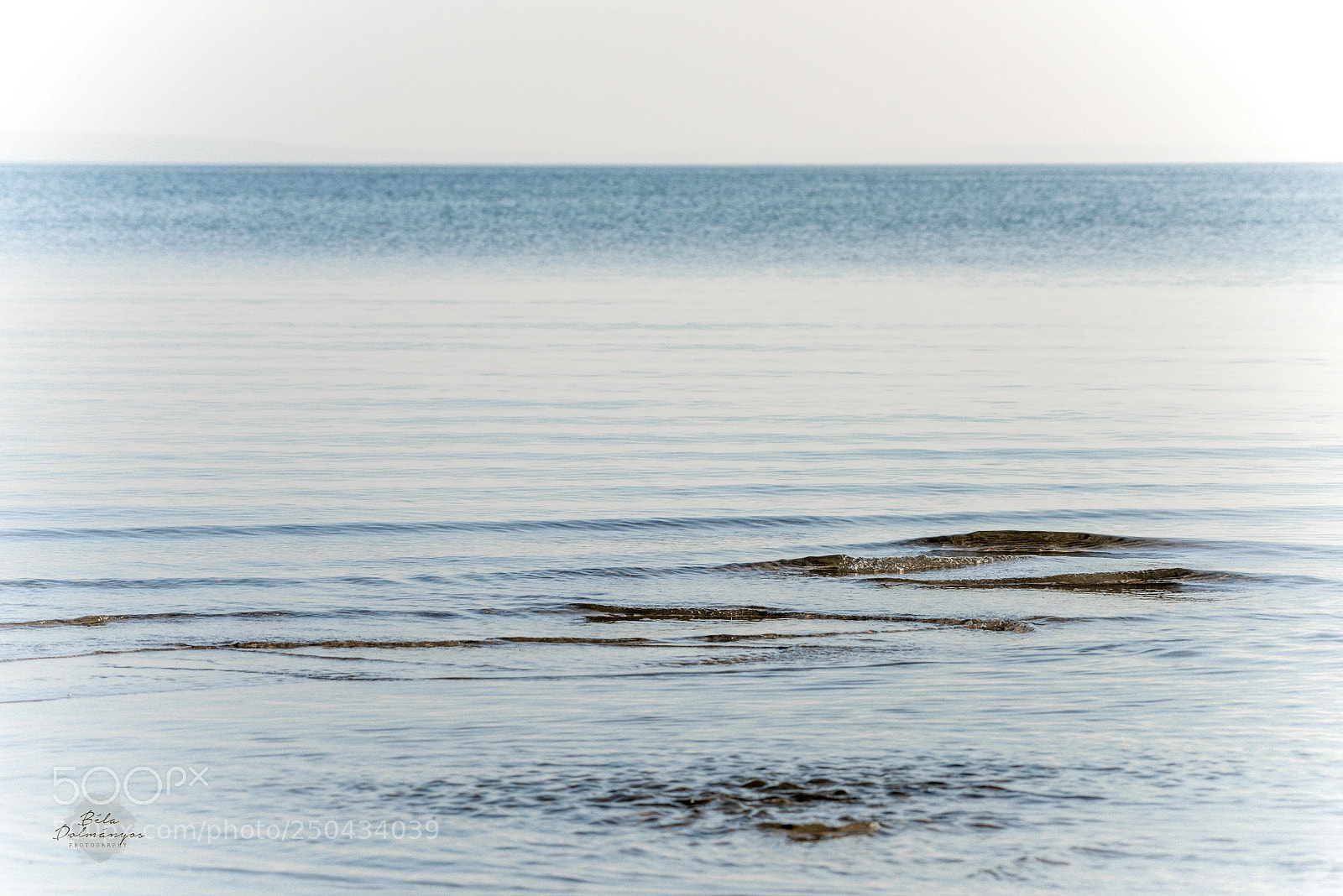Nikon D810 sample photo. Floating photography