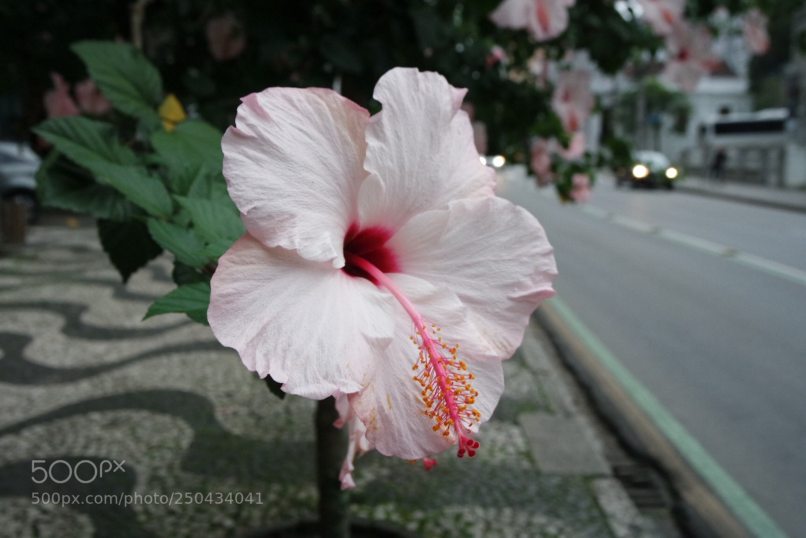 Samsung NX3000 sample photo. “street art” photography