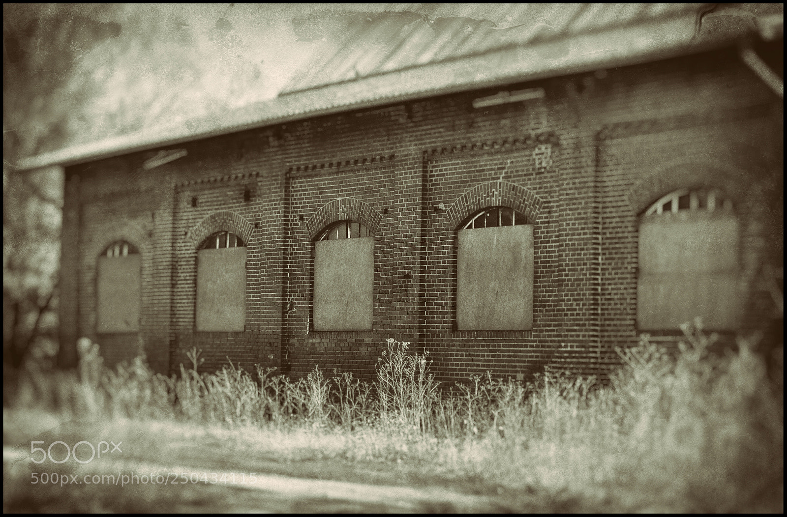 Nikon D90 sample photo. Walking dead style #1 photography