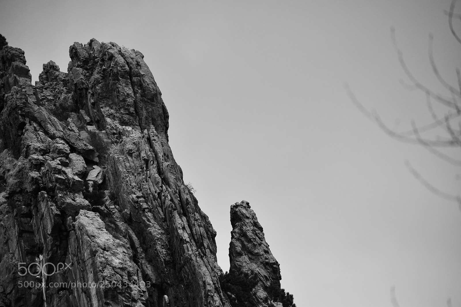 Nikon D5600 sample photo. Mount sanitas photography