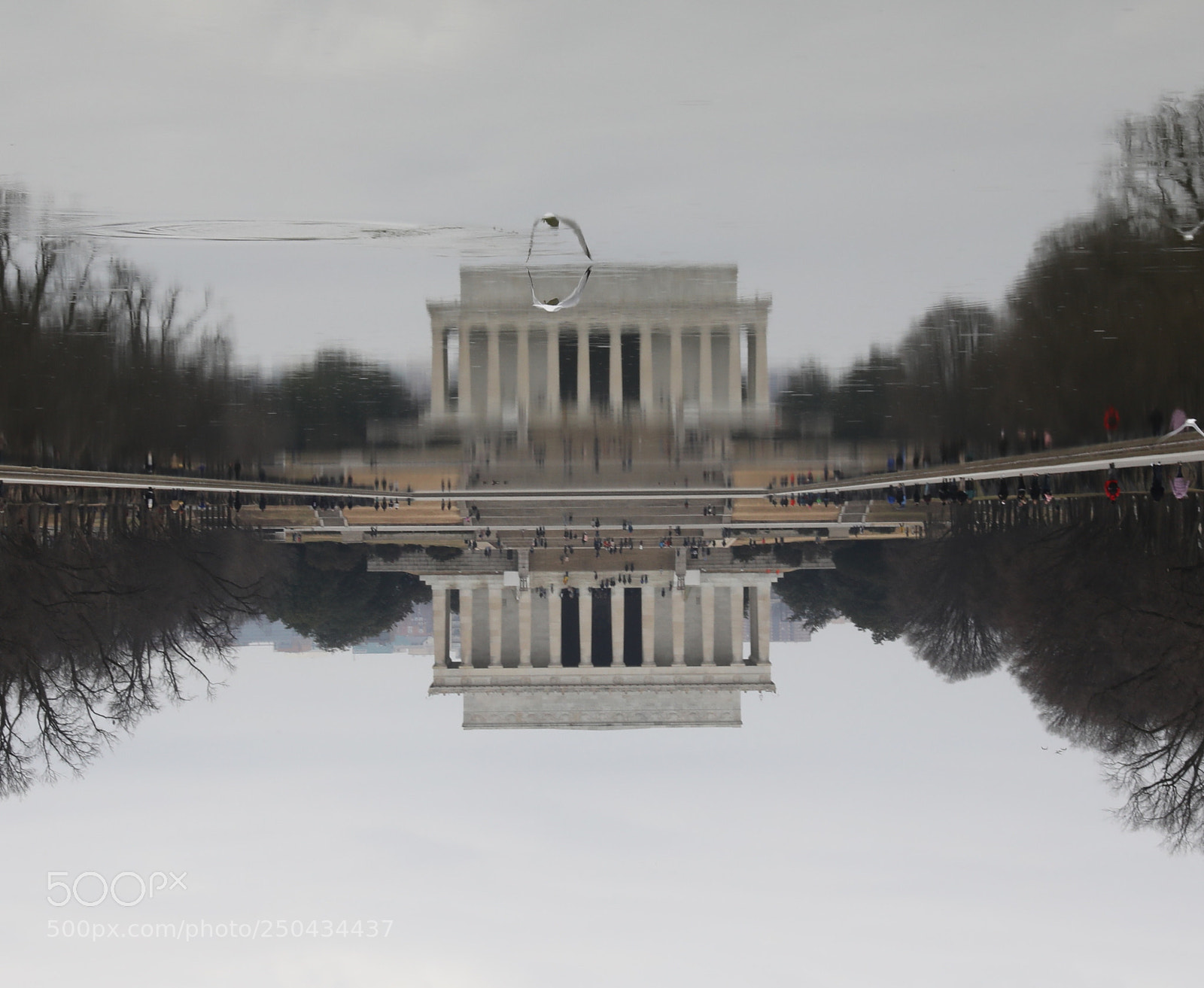 Canon EOS 5D Mark IV sample photo. Washington d.c. photography
