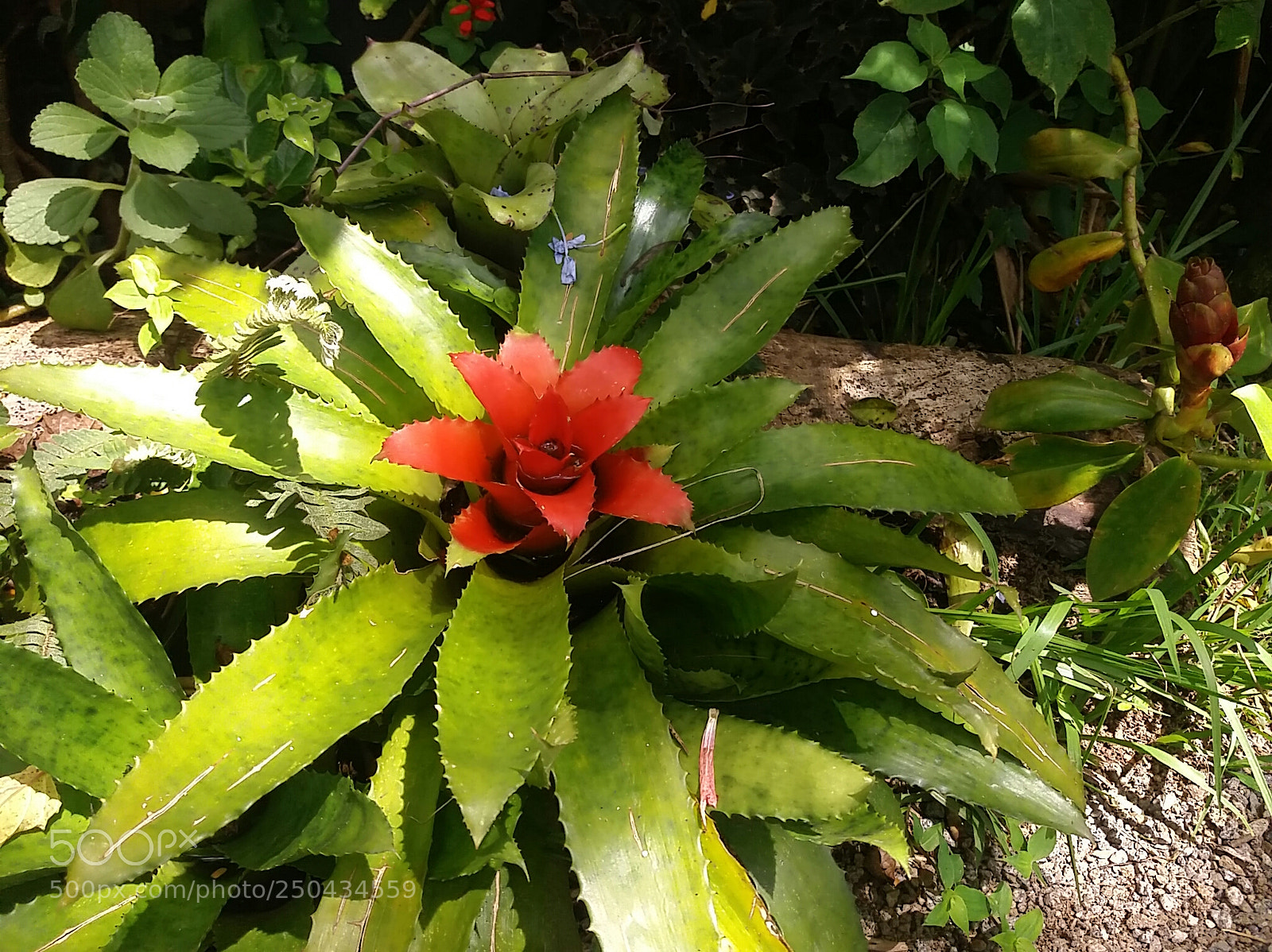 Samsung Galaxy J5 sample photo. Untitled photography