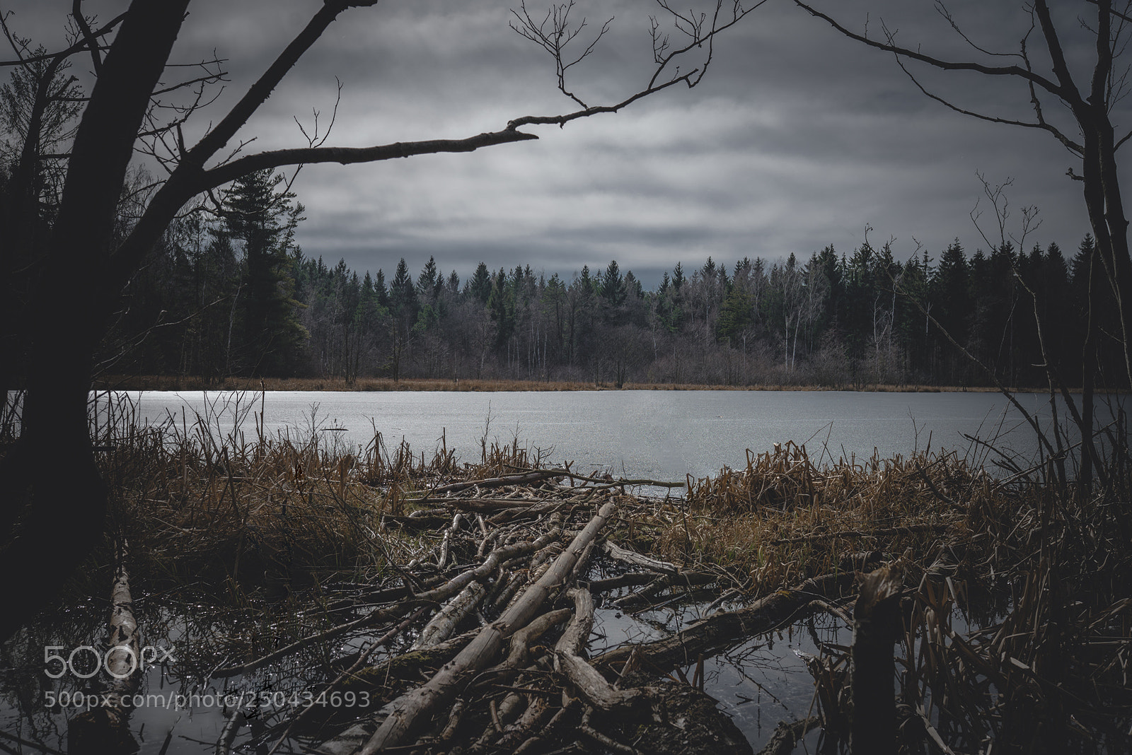 Sony a7R sample photo. Soldierlake photography