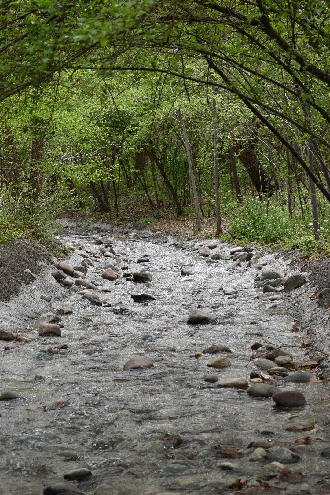 Nikon D5500 sample photo
