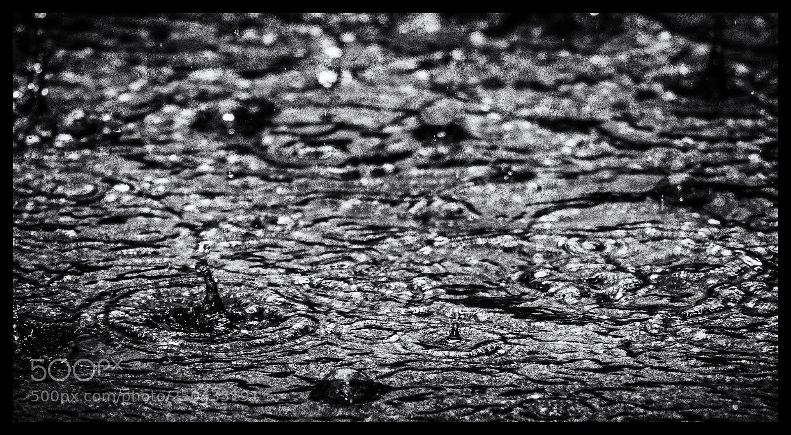 Canon EOS 800D (EOS Rebel T7i / EOS Kiss X9i) sample photo. Rain drops photography