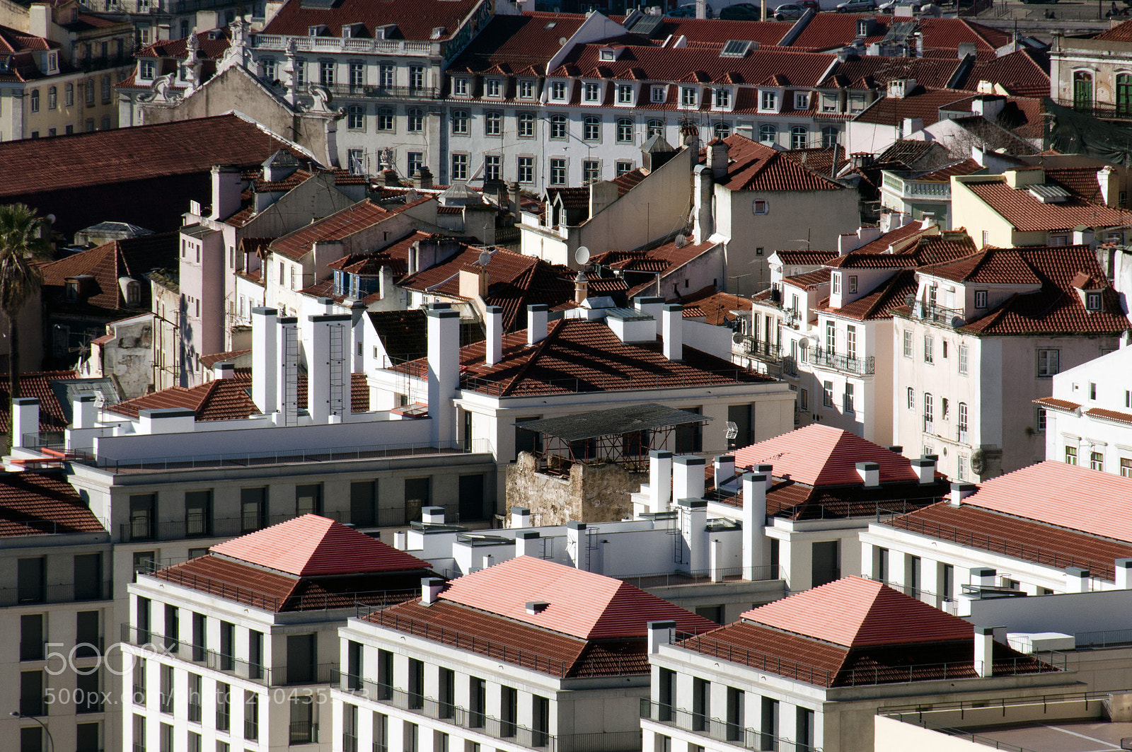 Nikon D90 sample photo. Rooftops photography
