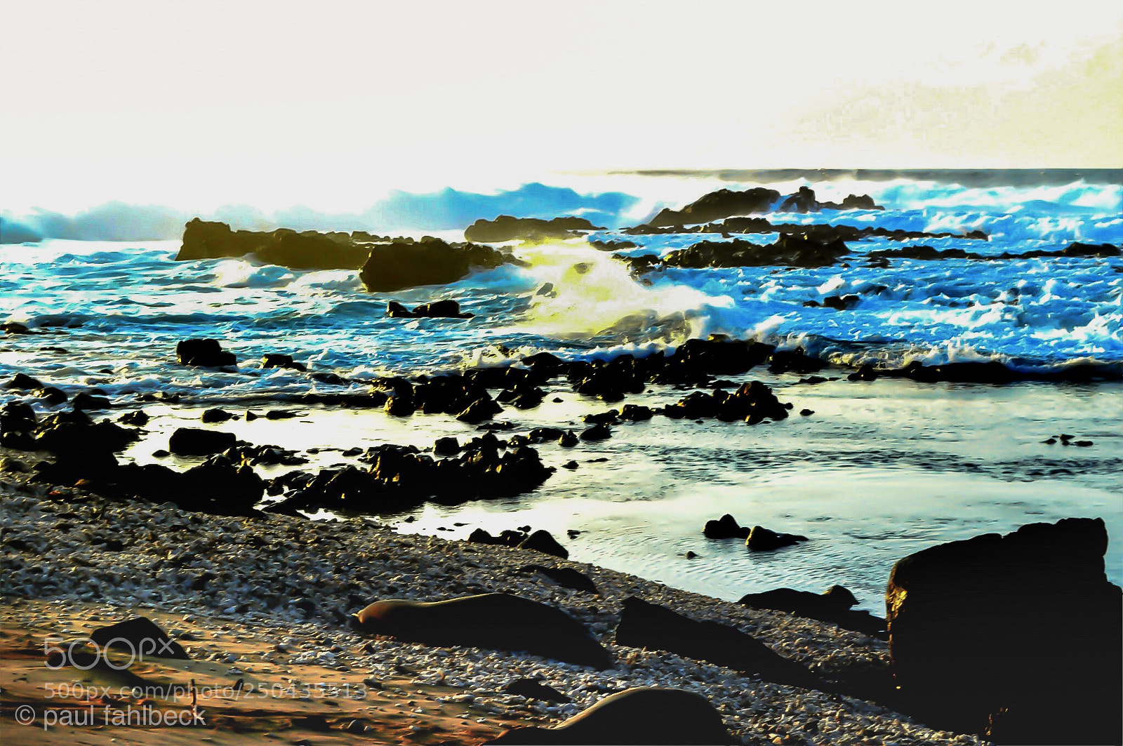 Nikon D3200 sample photo. Morning views photography