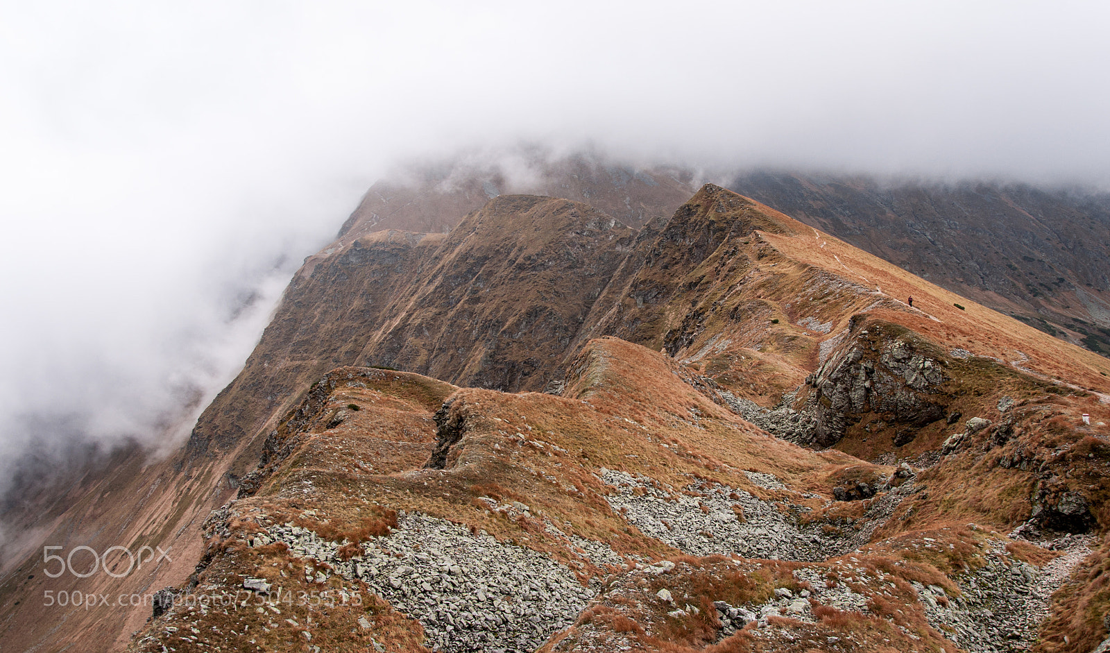 Nikon D90 sample photo. Autumn in western tatras photography