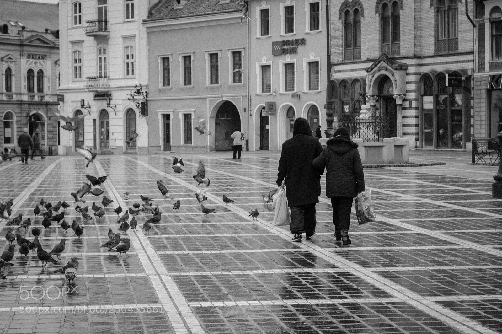 Nikon D3200 sample photo. Brasov photography