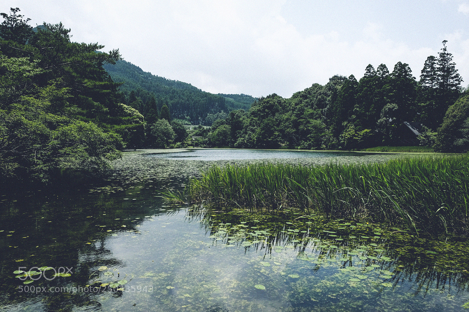 Fujifilm X-T10 sample photo. Asoo pond photography