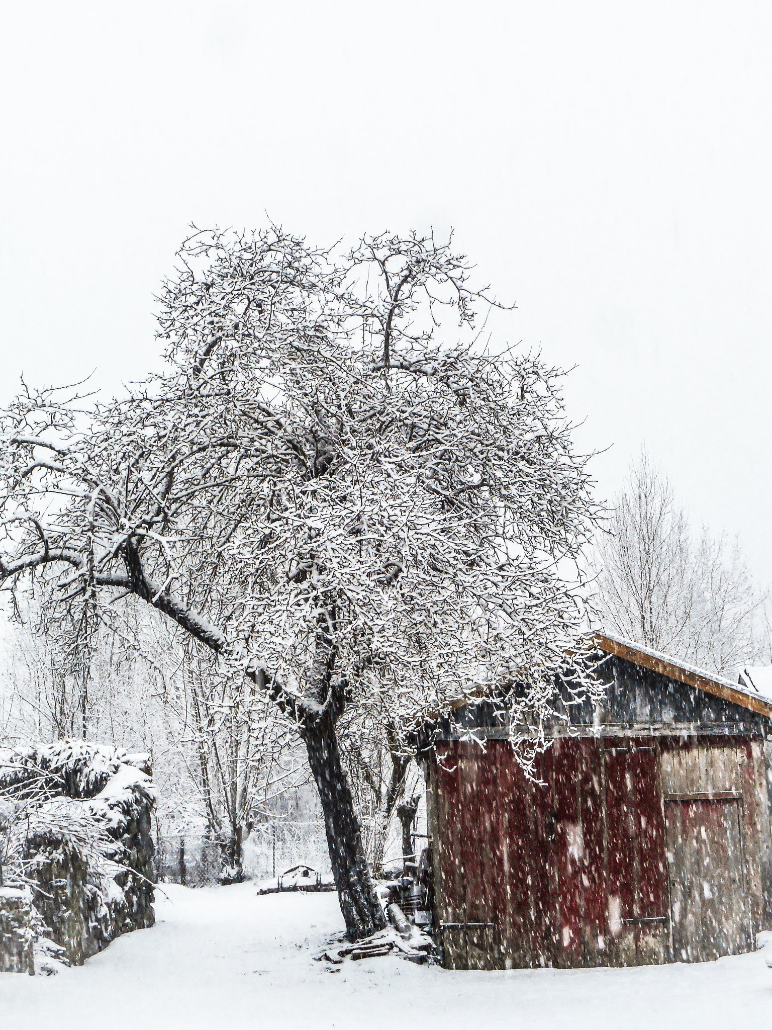 Nikon Coolpix S3600 sample photo. Hivers 2018 gourbit photography