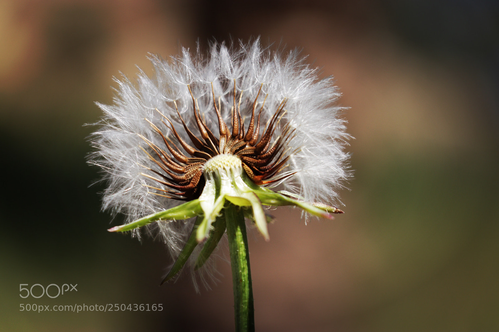 Canon EOS 80D sample photo. Untitled photography