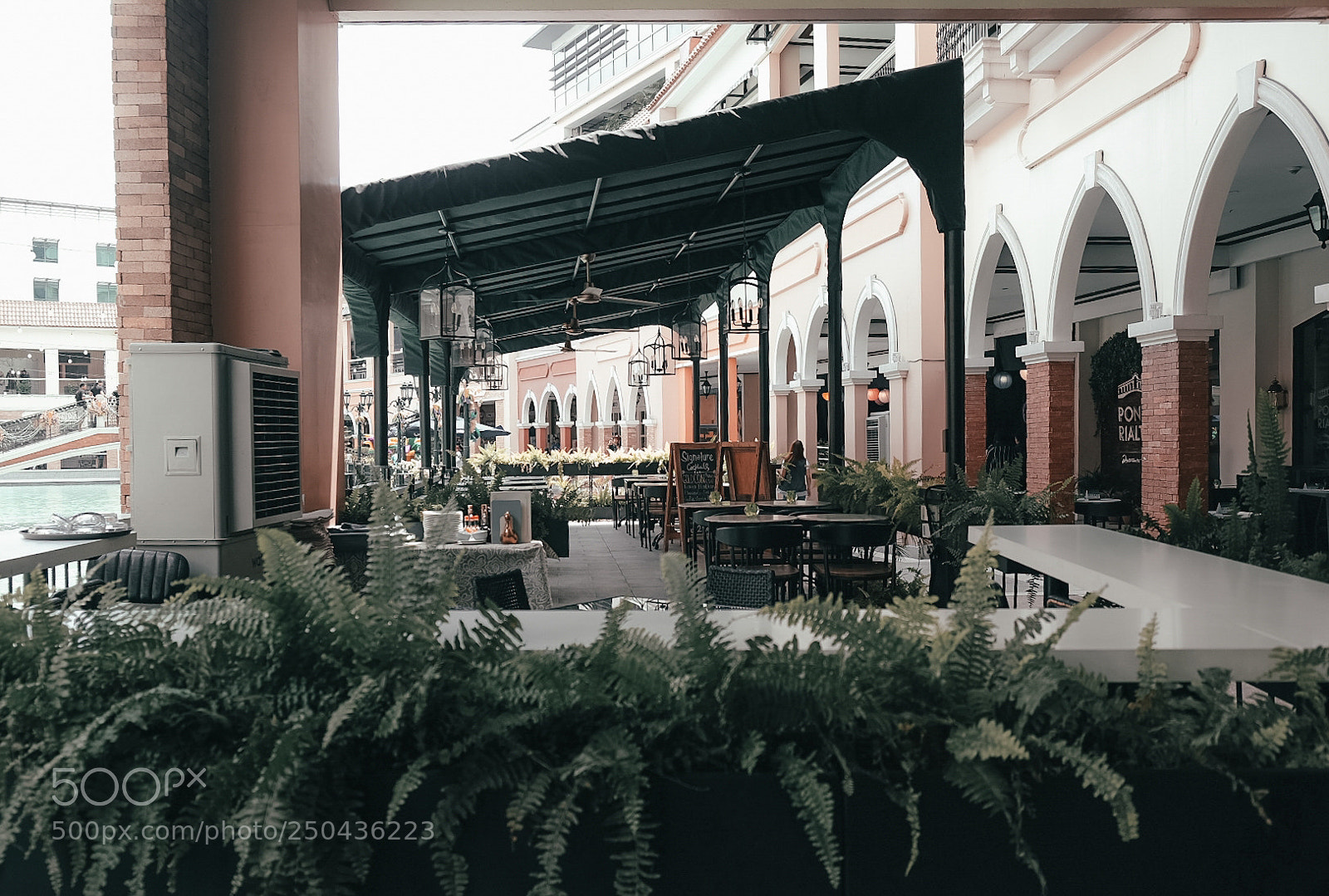 Fujifilm X-T20 sample photo. Untitled photography