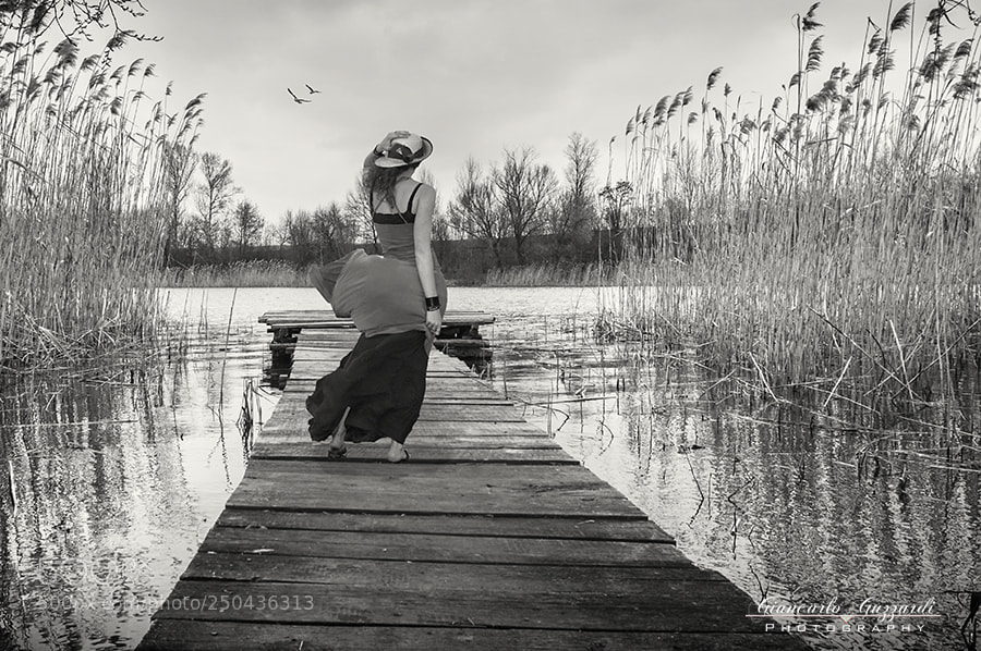 Nikon D7100 sample photo. Romantic birdwatching photography
