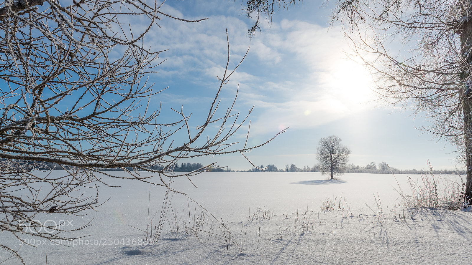 Nikon D800 sample photo. Pohja eesti photography