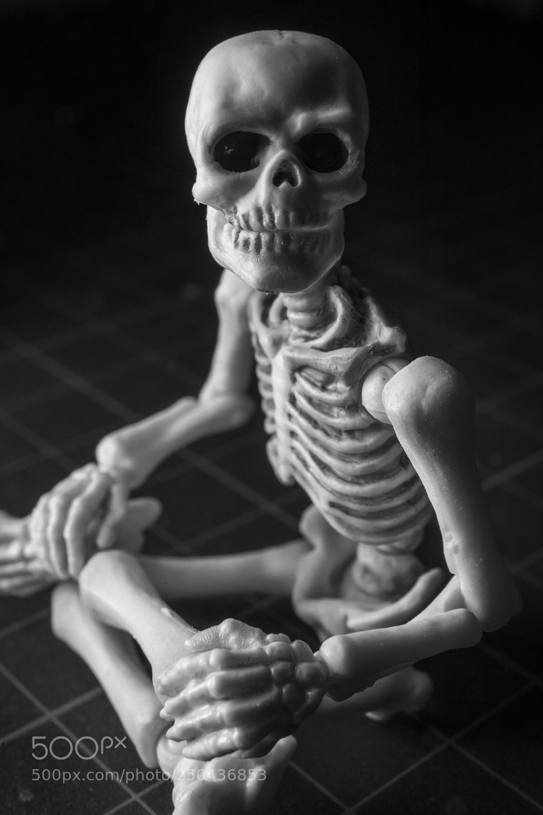 Canon EOS 5D Mark IV sample photo. Made of more than photography
