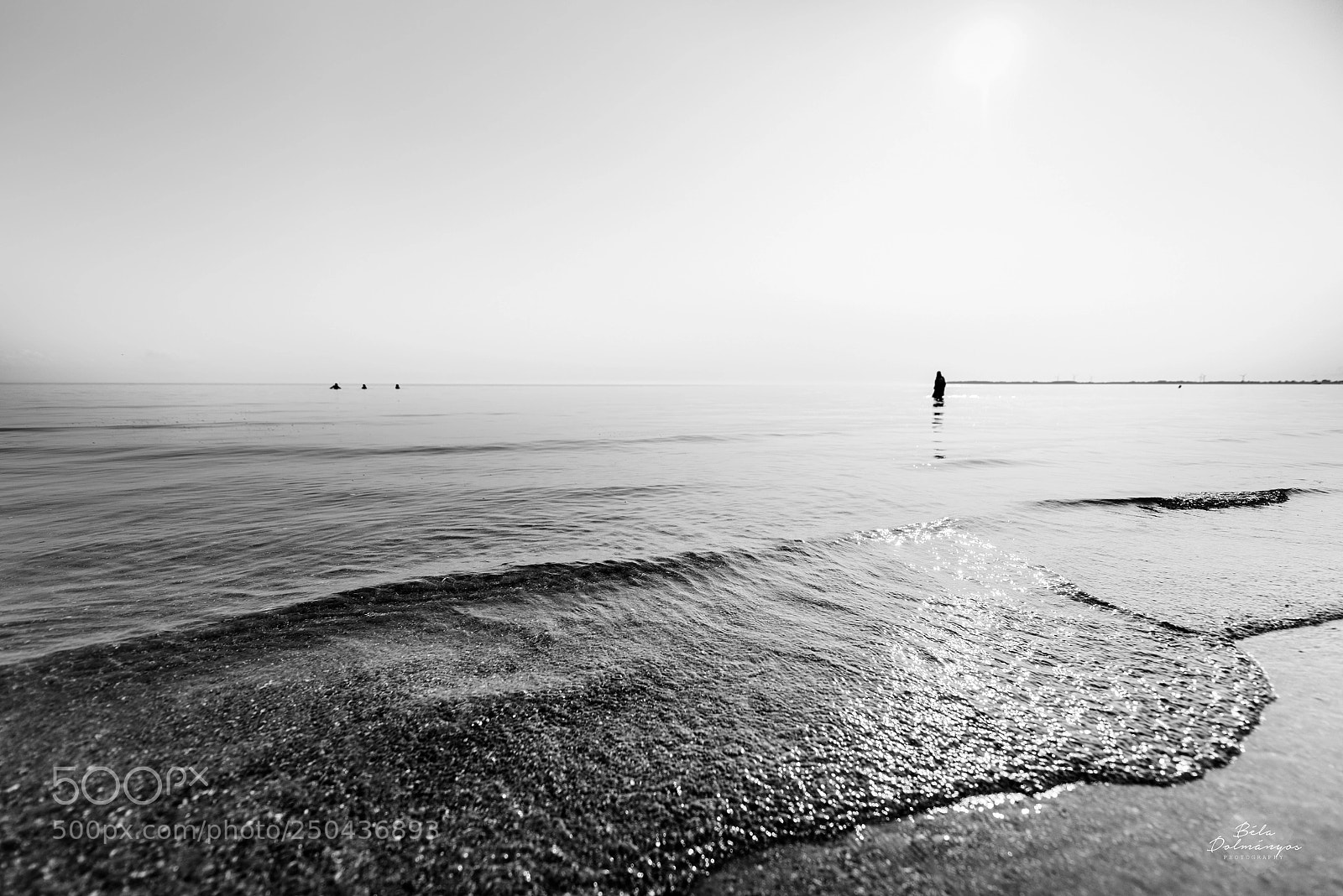 Nikon D810 sample photo. Walk photography