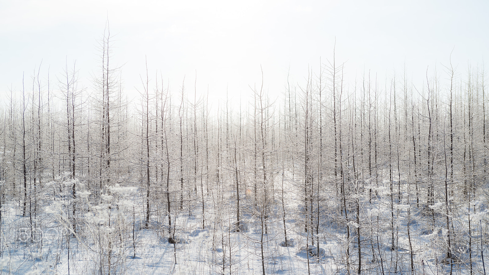 Nikon D800 sample photo. Pohja eesti photography