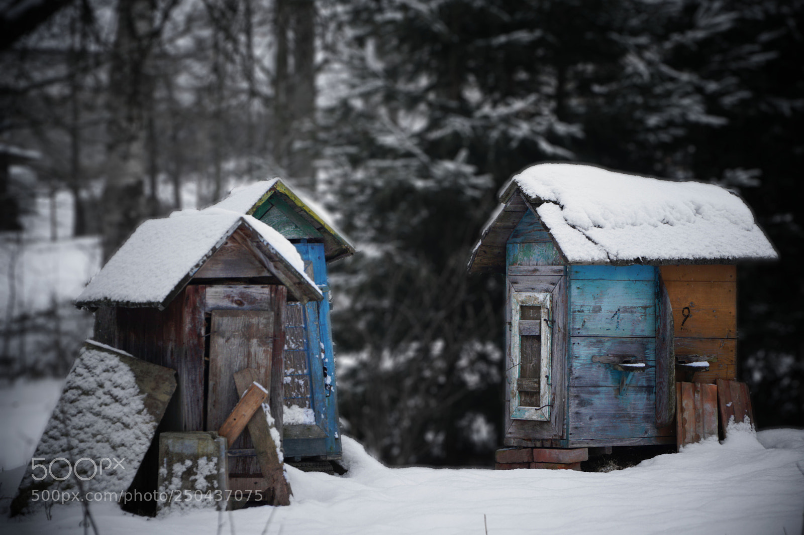 Sony a6000 sample photo. Beehive photography