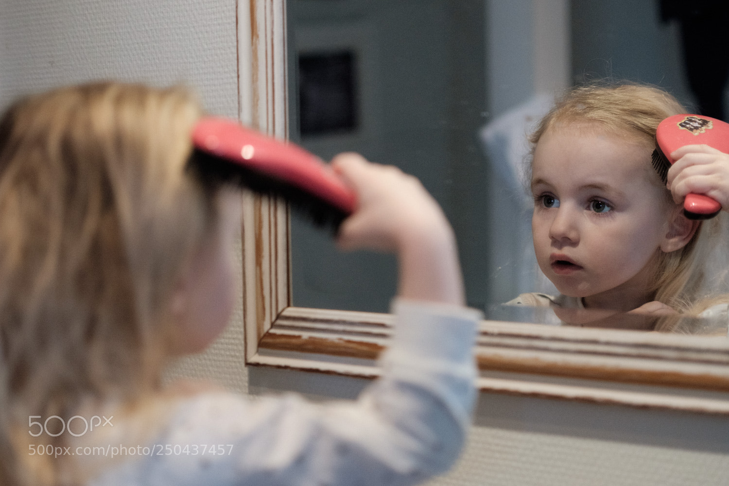 Fujifilm X-E2S sample photo. Mirror image 1 photography