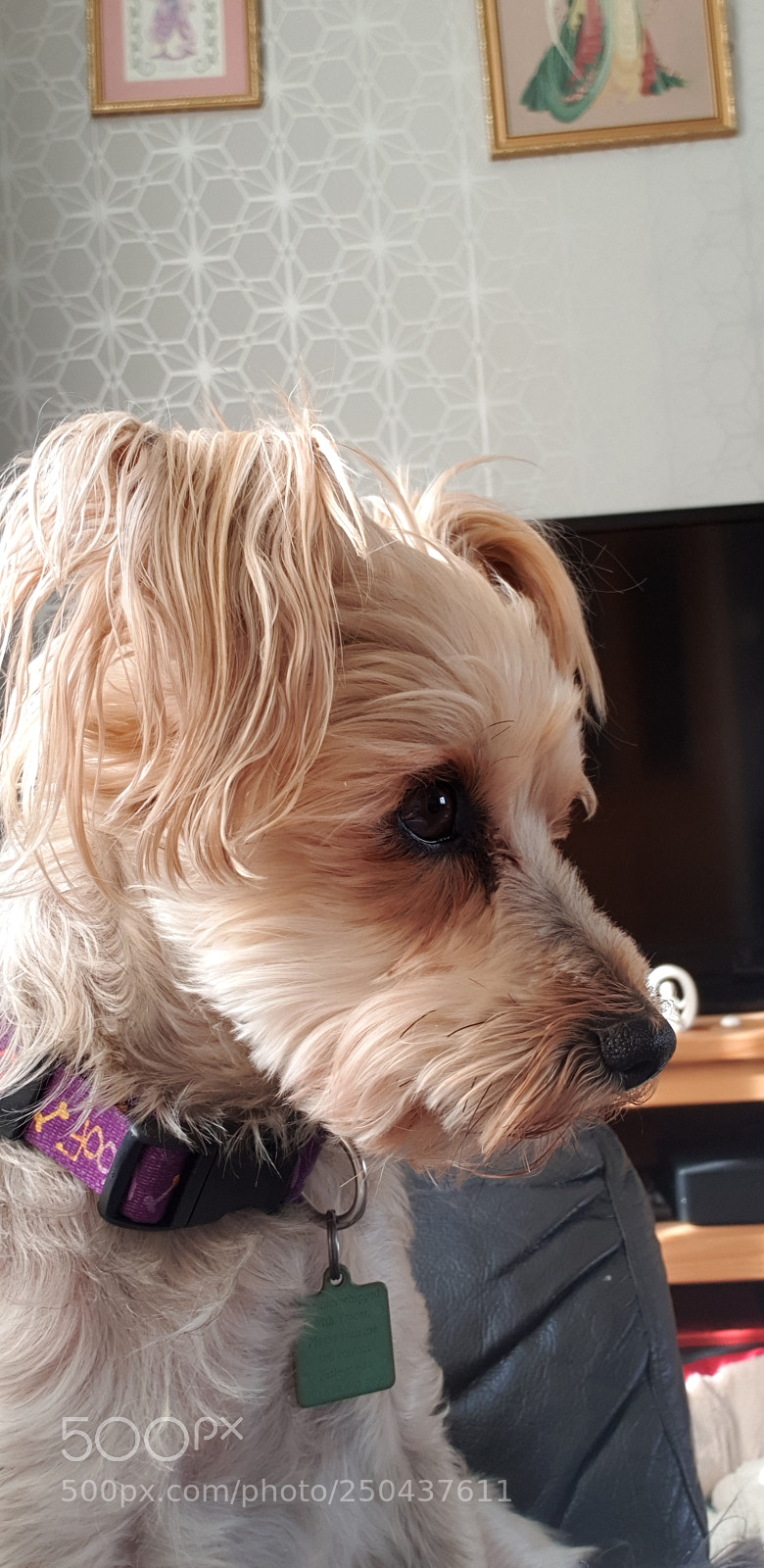 Samsung Galaxy S9 sample photo. Face shot photography