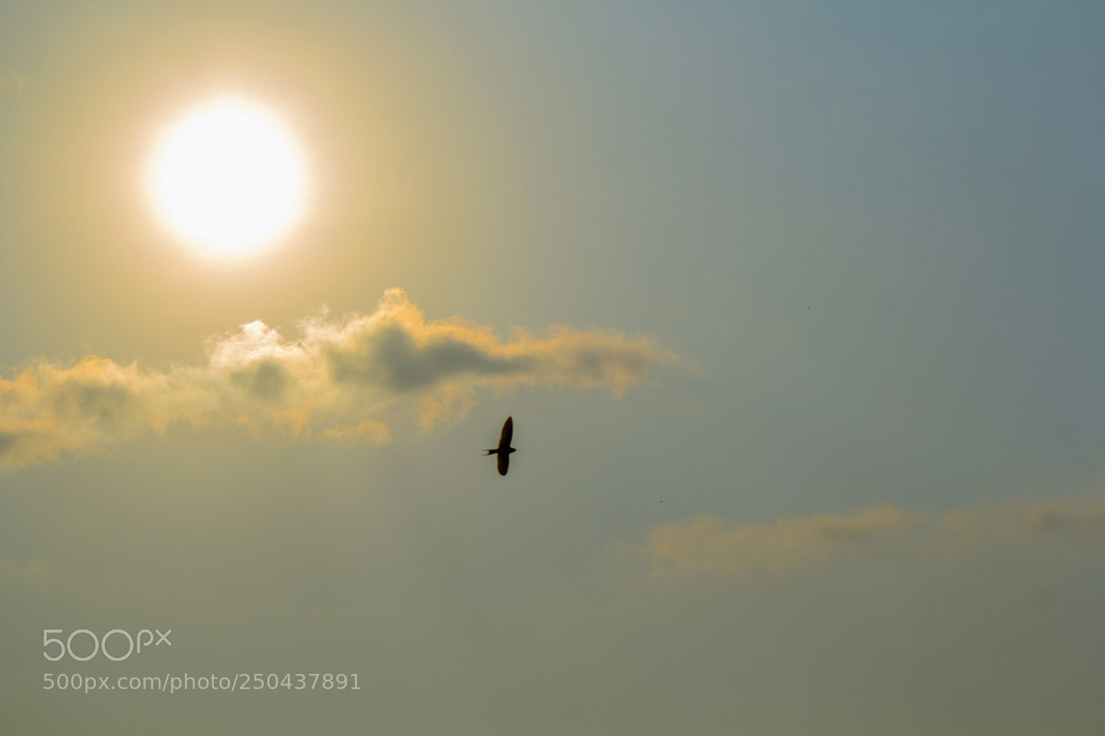 Canon EOS 60D sample photo. Sky photography