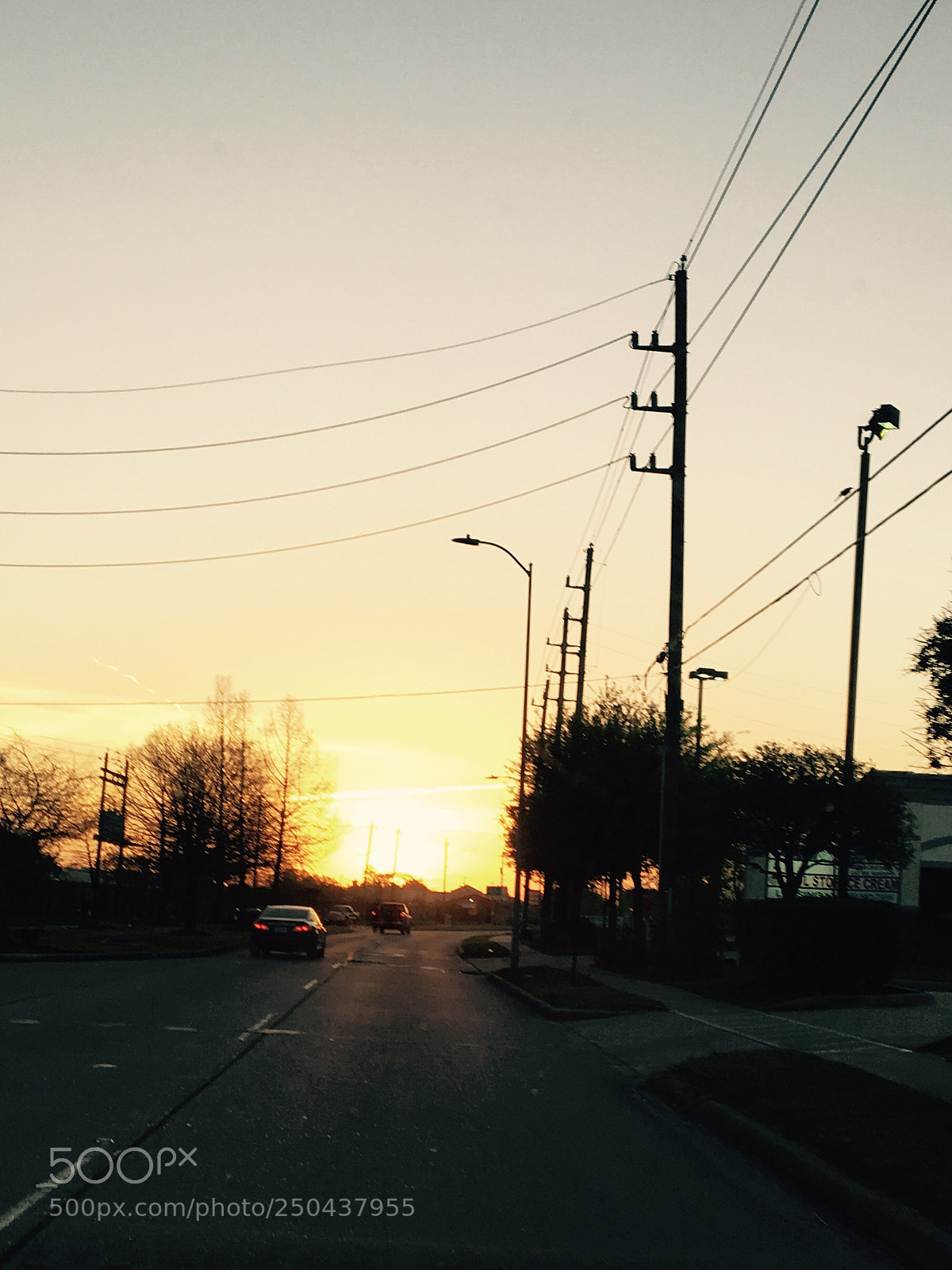 Apple iPhone 6s sample photo. Untitled photography